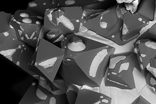 资阳资阳蔡司显微镜